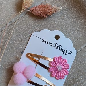 setje van 2 klik klak haarspeldjes